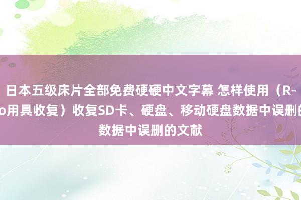 日本五级床片全部免费硬硬中文字幕 怎样使用（R-Studio用具收复）收复SD卡、硬盘、移动硬盘数据中误删的文献